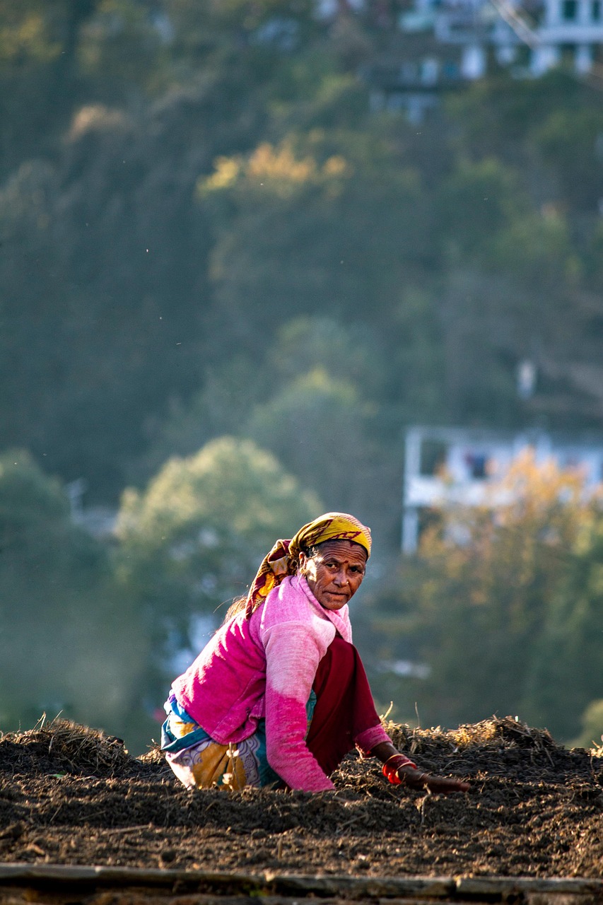 agriculture, farmer, woman, farm, female, nature, rural, portrait, farming, worker, harvesting